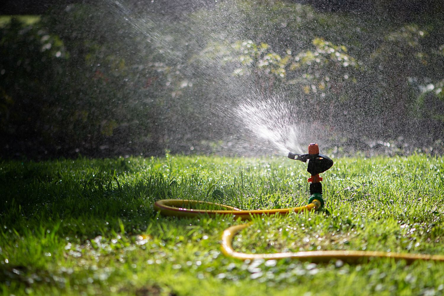 Level 2 water restrictions garden sprinkler